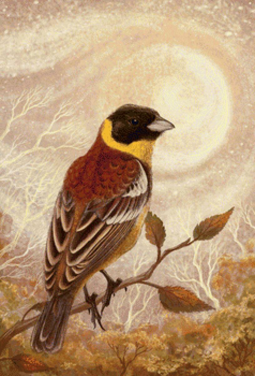 Птичка на ветке - рисунок, птичка, птица - предпросмотр