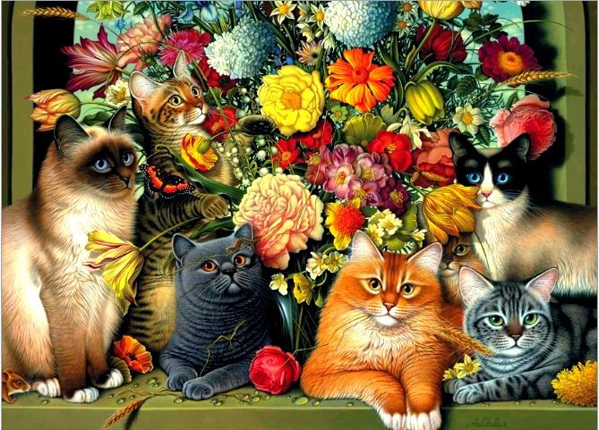 Котомания (гамма) - оригинал