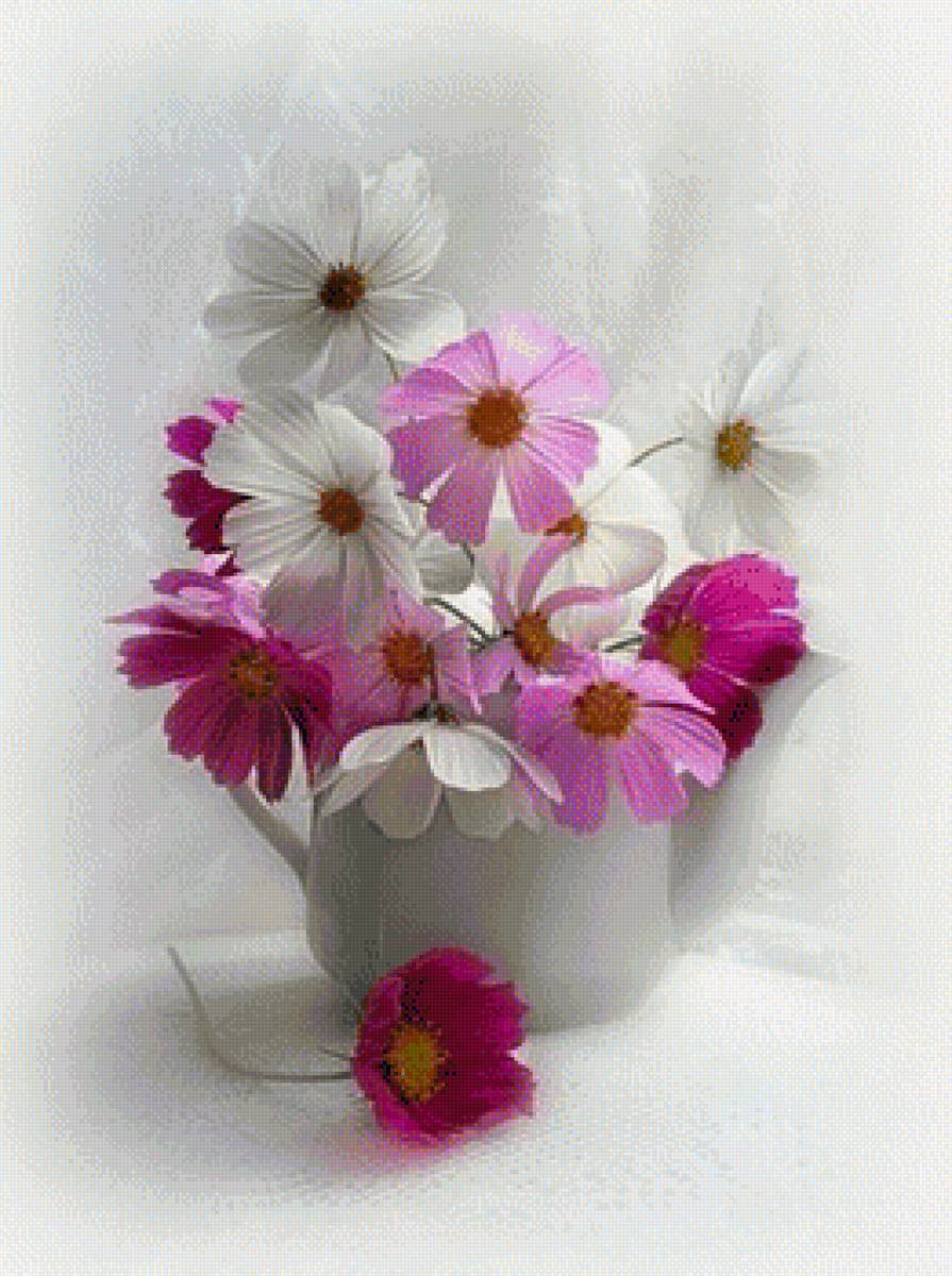 КОСМЕЯ - космея - предпросмотр