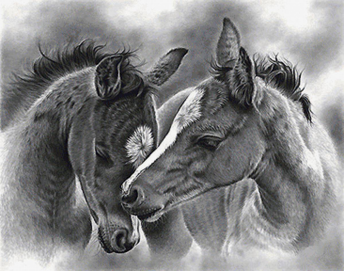 рисунок - предпросмотр