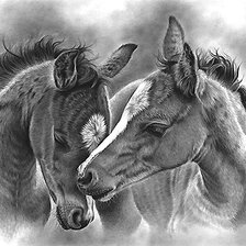 Схема вышивки «рисунок»