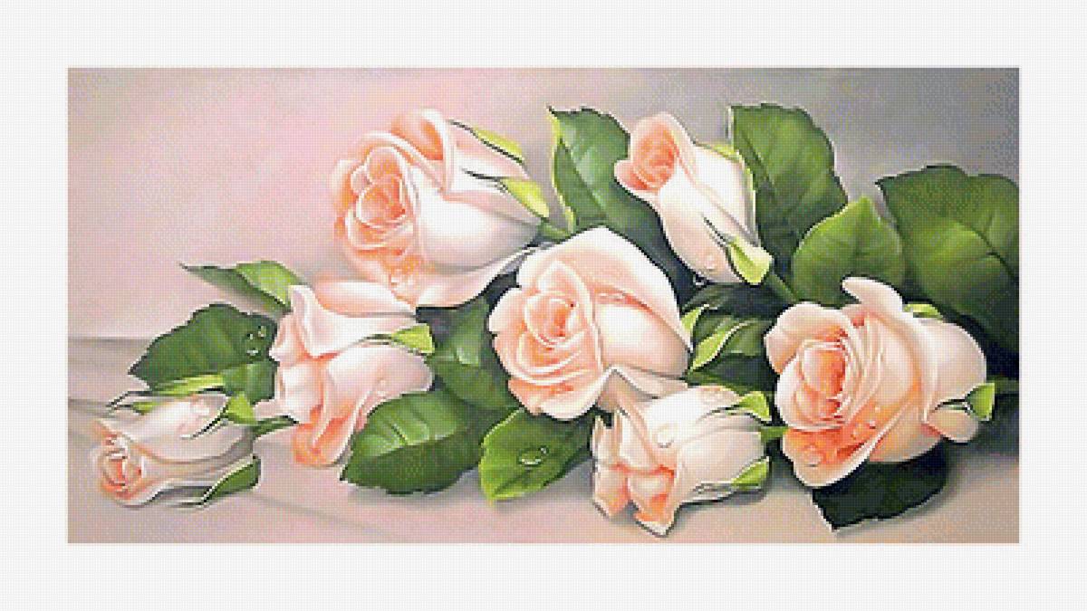 Серия "Розы". - флора, цветы, розы - предпросмотр