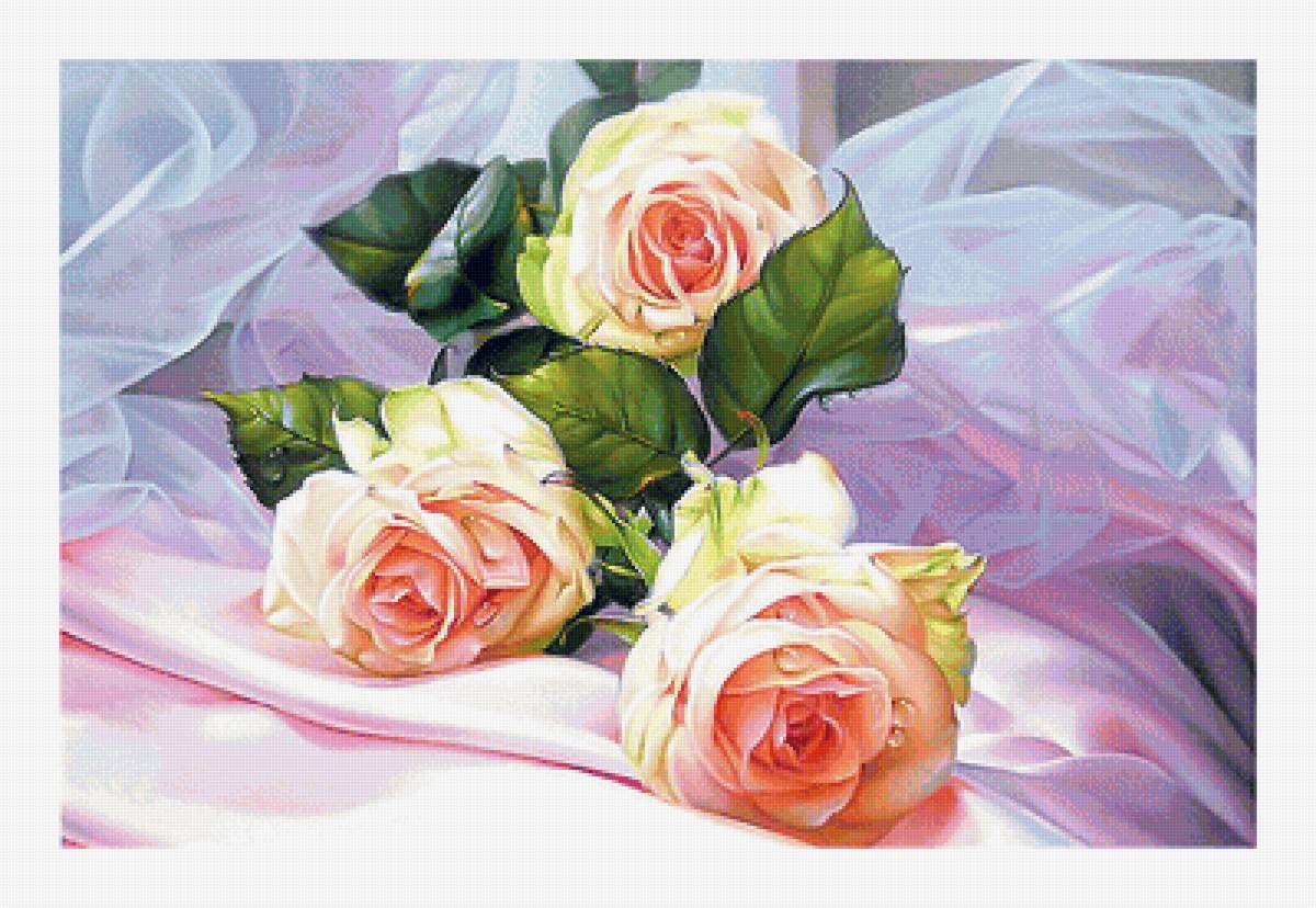 Серия "Розы". - флора, цветы, розы - предпросмотр