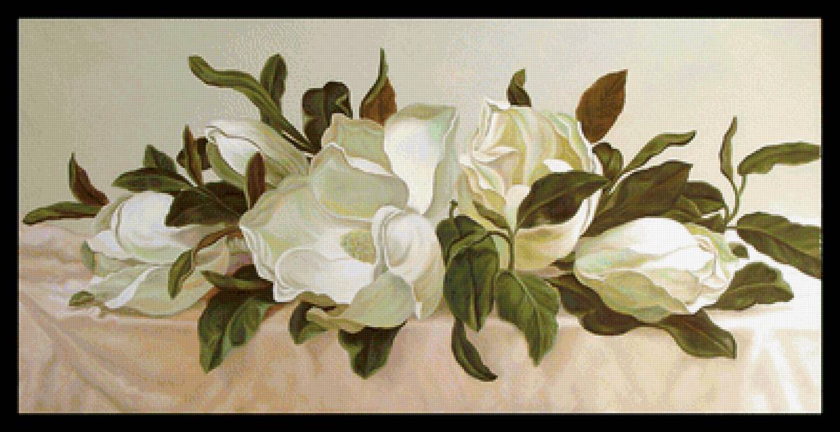 Серия "Магнолии" - магнолии, цветы, флора - предпросмотр