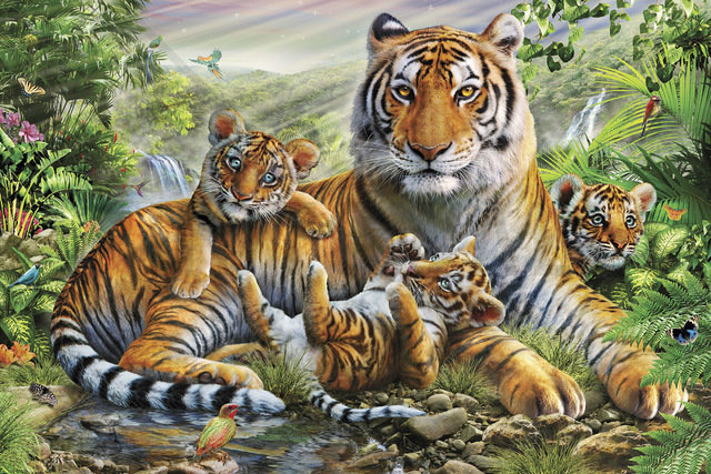 Семейство тигров - тигры, тигренок, тигр, рисунок, животные, природа - оригинал