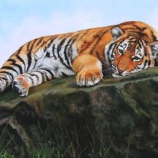 Схема вышивки «тигр»