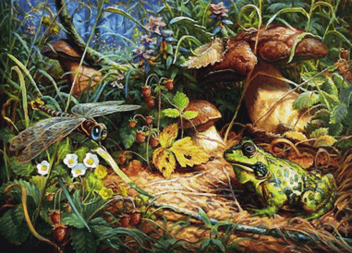 ПОЛЯНА - предпросмотр