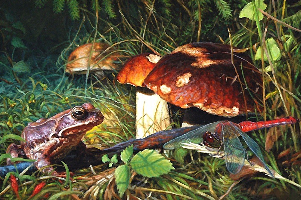 ГРИБЫ - оригинал