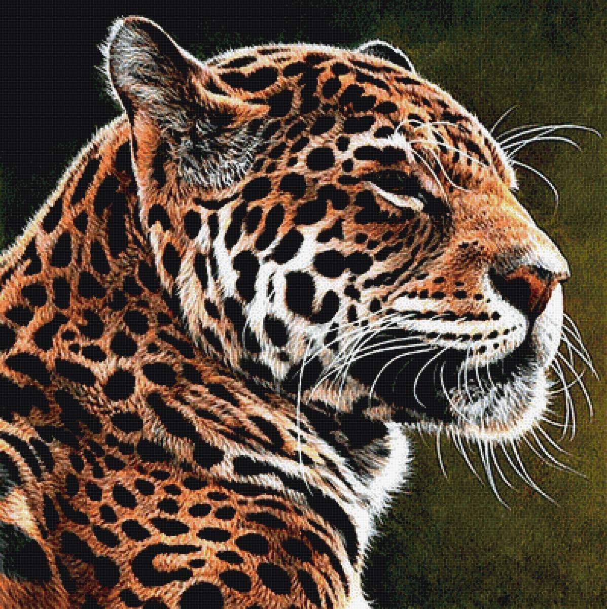 №1899588 - леопард - предпросмотр