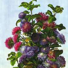 Схема вышивки «№1899602»