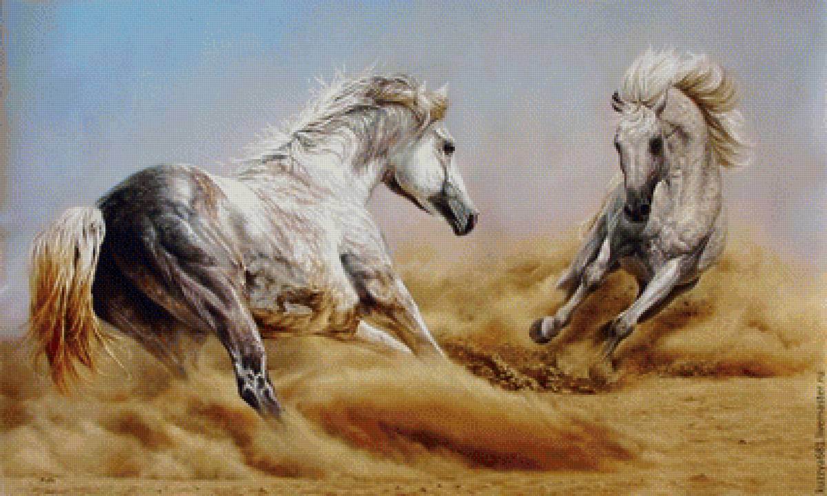 Арабские скакуны - лошади, песок, пустыня - предпросмотр