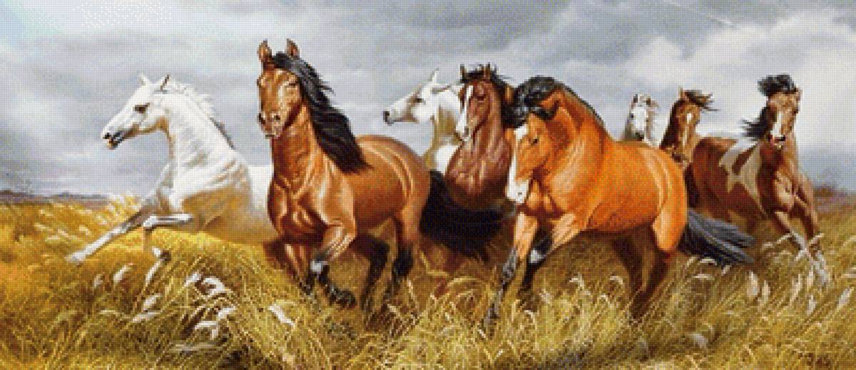 Мустанги - табун, лошади, поле - предпросмотр