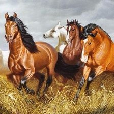 Схема вышивки «Мустанги»