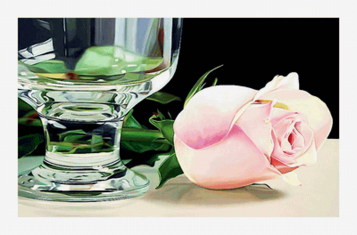 Серия "Розы". - цветы, розы, флора - предпросмотр