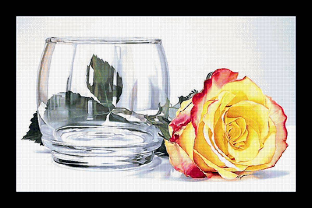 Серия "Розы". - цветы, розы, флора - предпросмотр