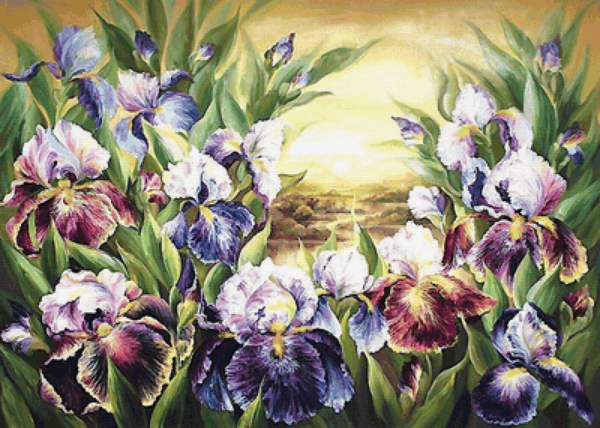 №1899827 - предпросмотр