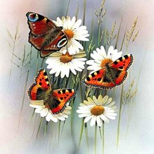 Схема вышивки «№1899904»