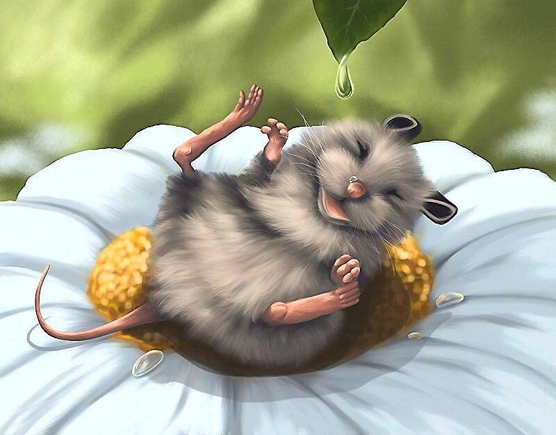 №1899955 - оригинал