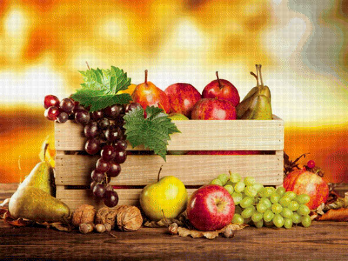 Фрукты - фрукты, натюрморт, яблоки, груши, виноград - предпросмотр