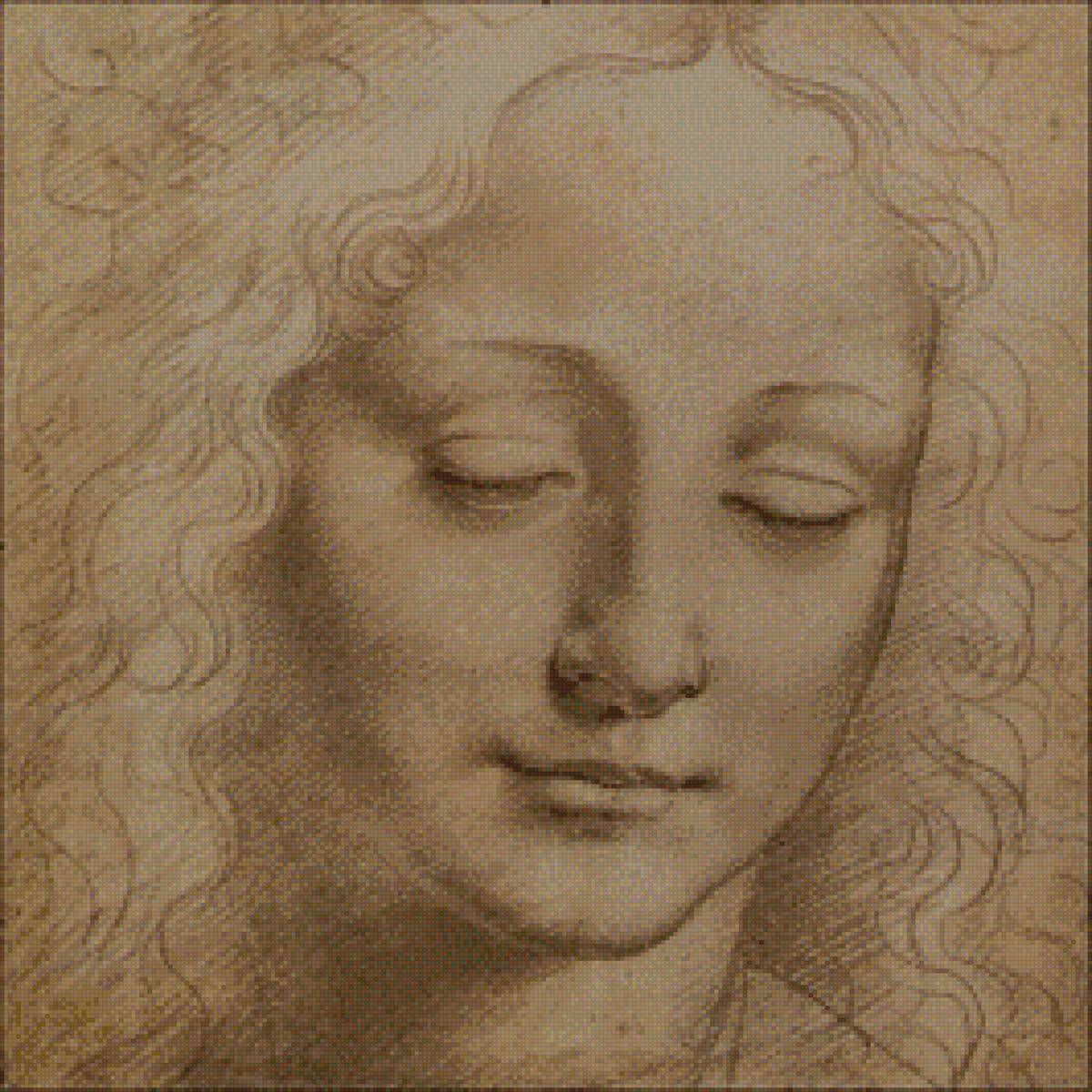Леонардо да Винчи. Голова женщины - монохром, набросок, голова женщины, бленды, леонардо да винчи - предпросмотр