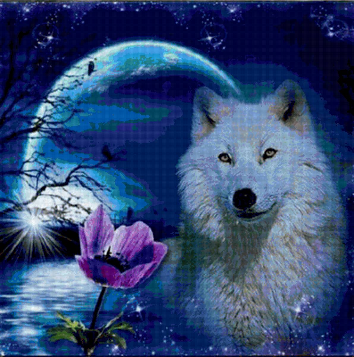 №1900224 - предпросмотр