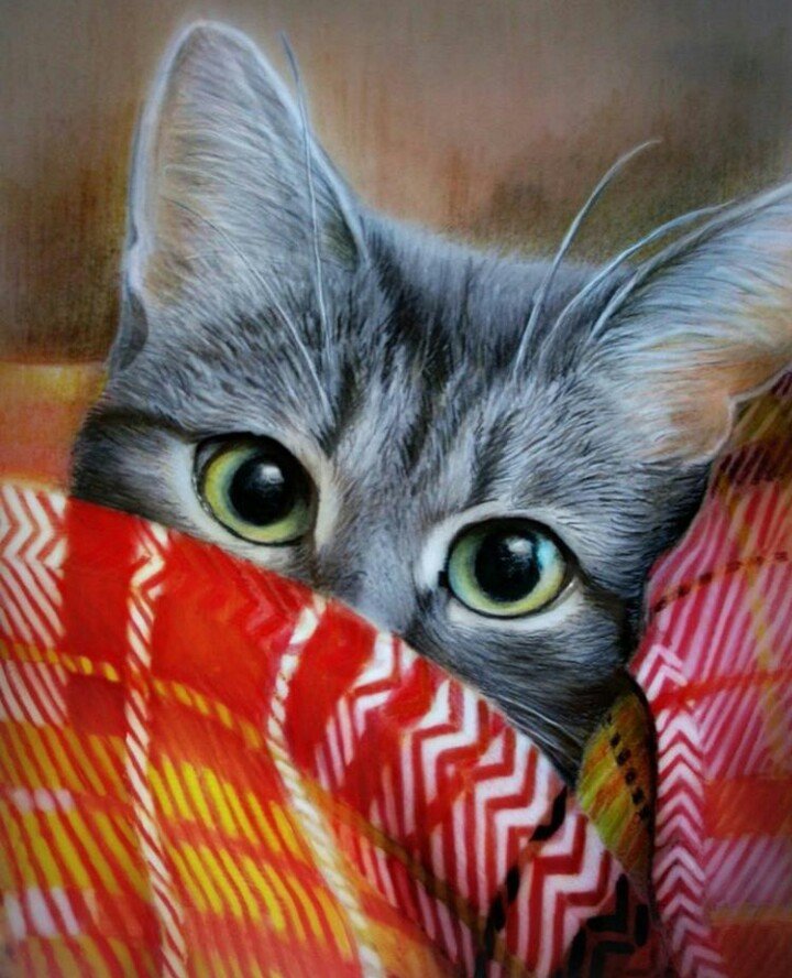 Котейка - котик - оригинал