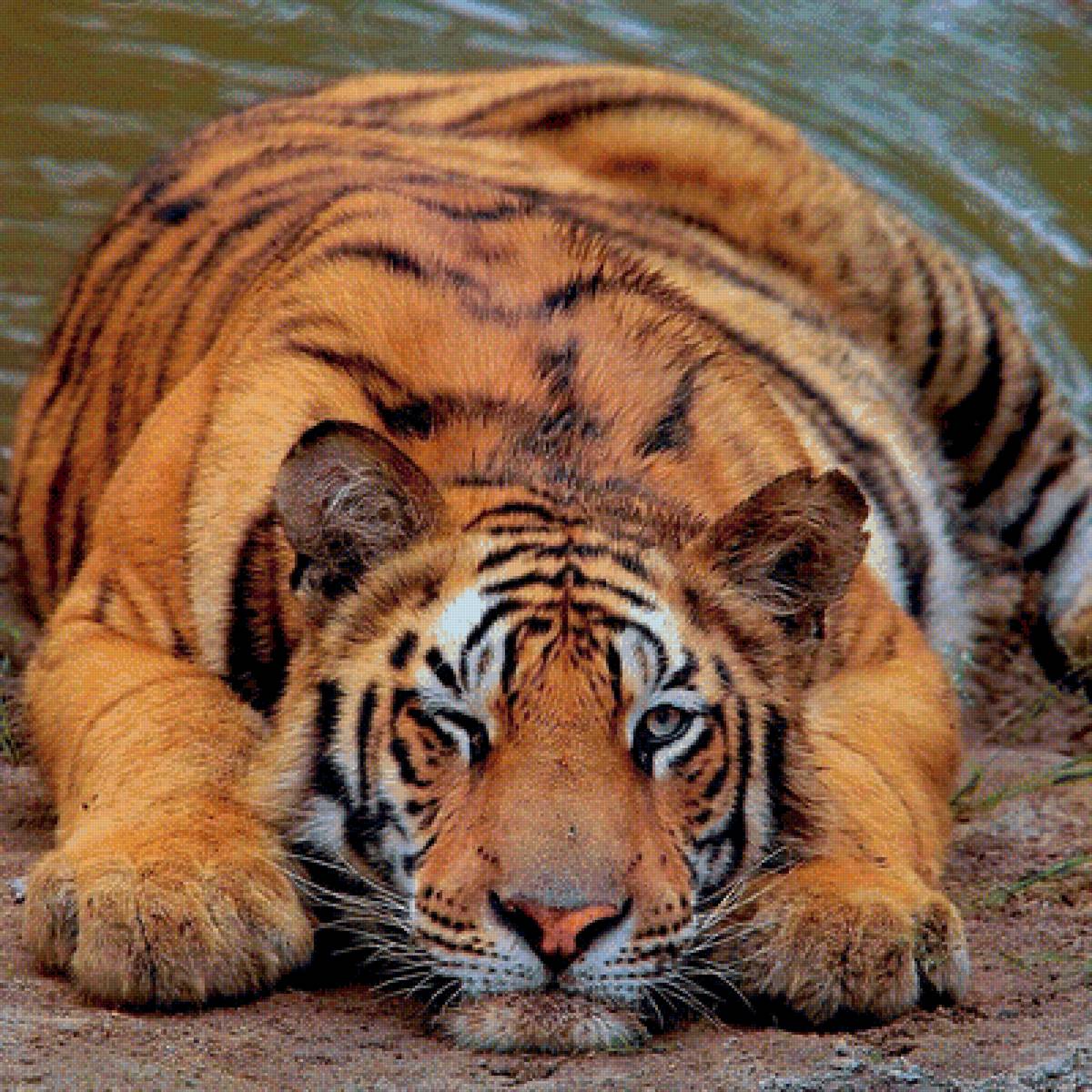 487 - предпросмотр