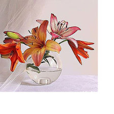 Схема вышивки «Натюрморт.»