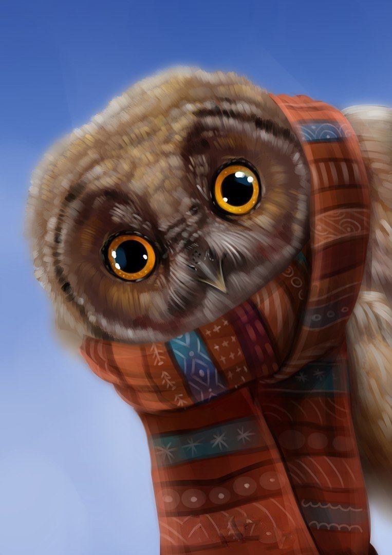 Сова в шарфике - сова, птица, рисунок - оригинал