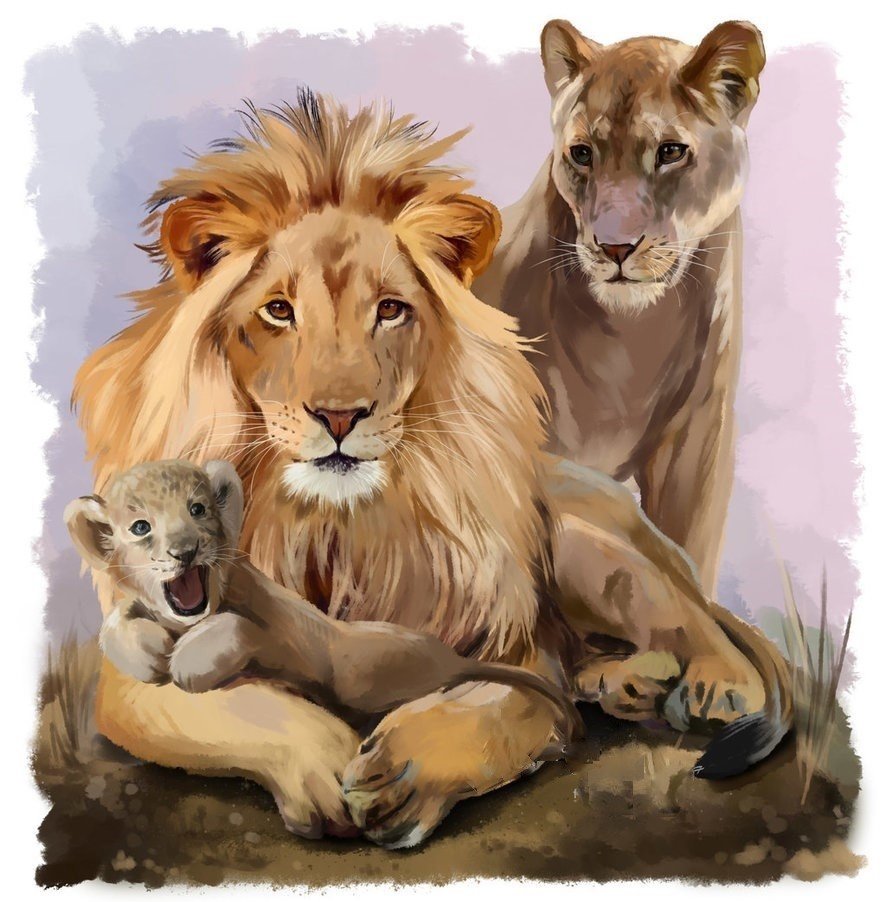 Семейство львов - львенок, лев, львы, львица, животные, рисунок - оригинал