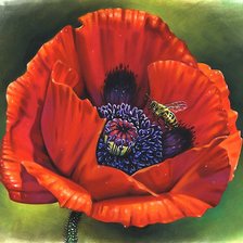 Схема вышивки «№1900536»