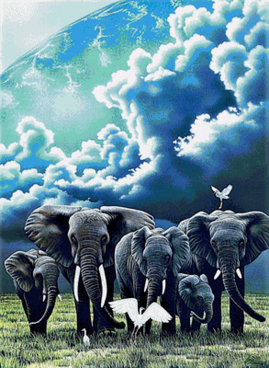 №1900563 - слоны - предпросмотр