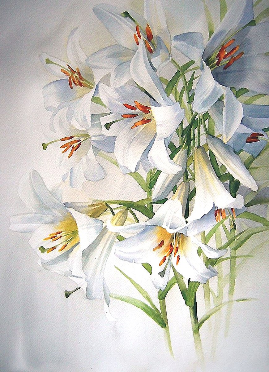 акварель - оригинал