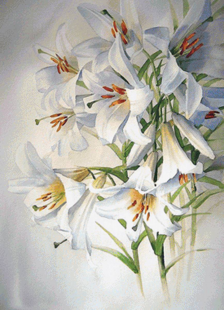 акварель - предпросмотр