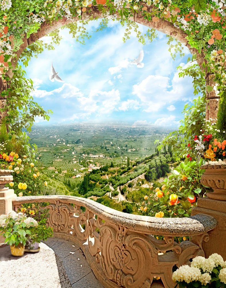 Пейзаж - пейзаж, голуби, природа, лето, терраса, птицы, цветы - оригинал