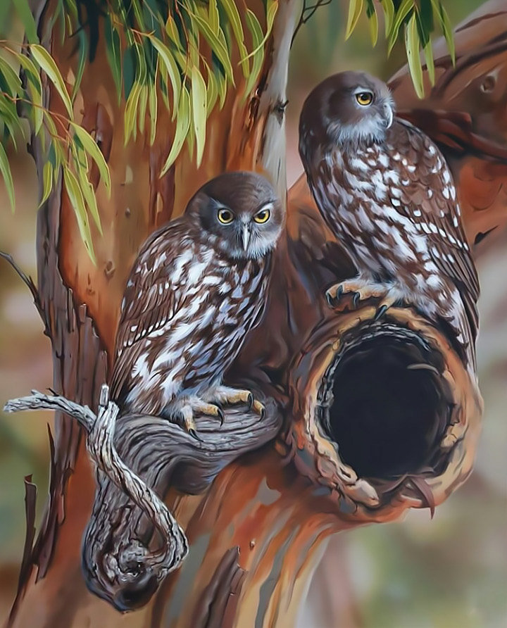 Совы - совы птица хищник - оригинал