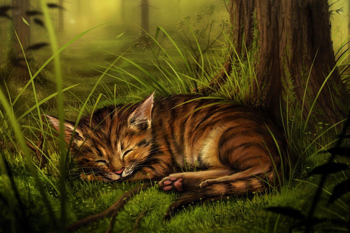 Котик - кот, животные, лес, котик, природа, рисунок - оригинал