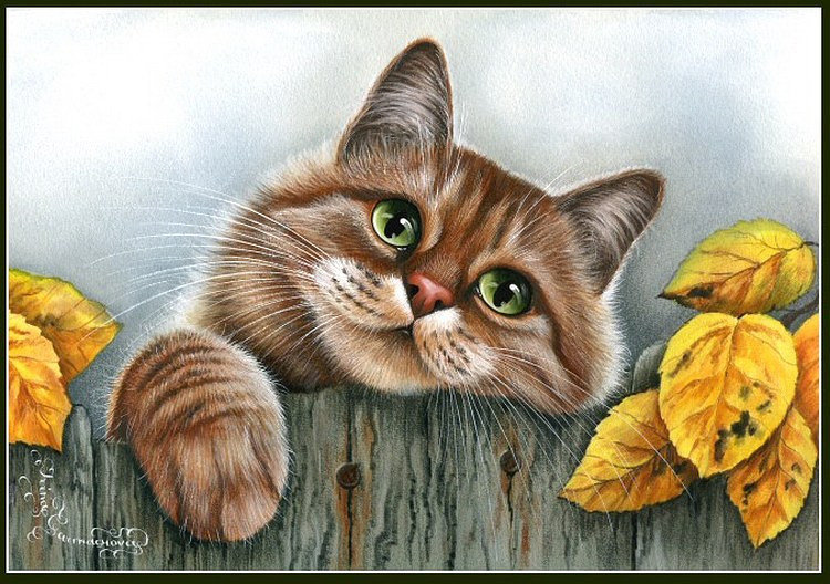 mačka - оригинал