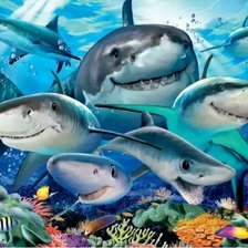 Схема вышивки «акулье селфи»