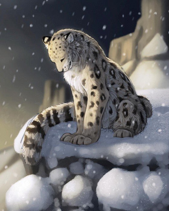 Снежный барс - снежный барс, животные, ирбис, зима, снег, рисунок, леопард - оригинал