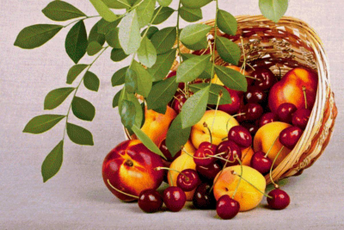 Фрукты - яблоки, вишня, фрукты, абрикосы - предпросмотр