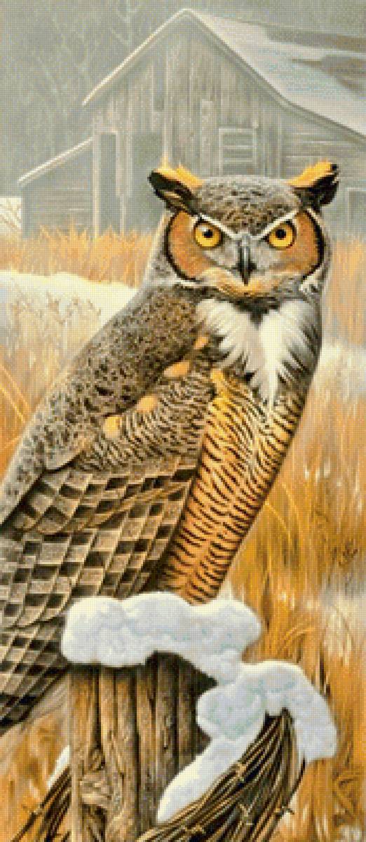 Совушка - цветы, сова - предпросмотр