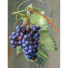 Оригинал схемы вышивки «Гроздь винограда» (№1901344)