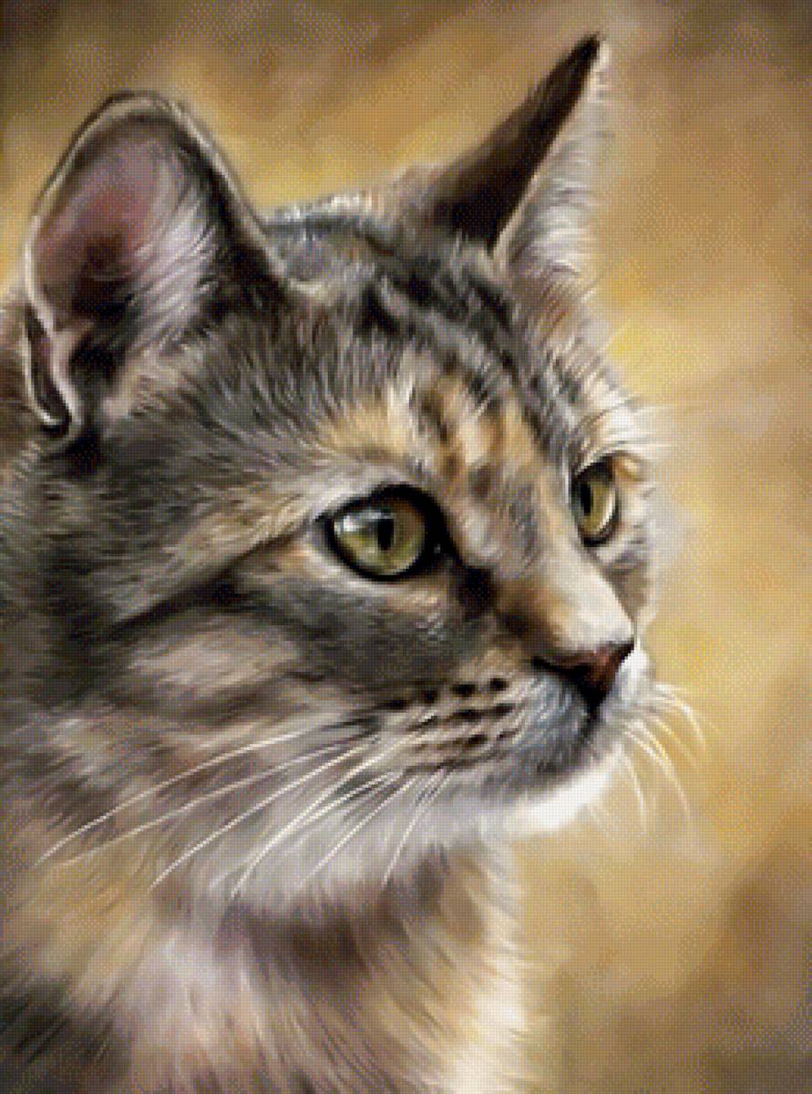 Котейка - котик - предпросмотр