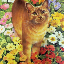 Оригинал схемы вышивки «Рыжий кот в цветах» (№1901433)