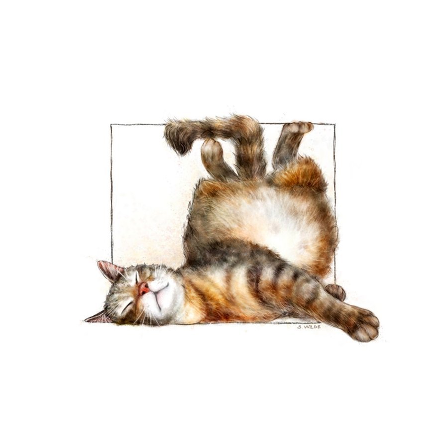 Квадратный кот рисунок