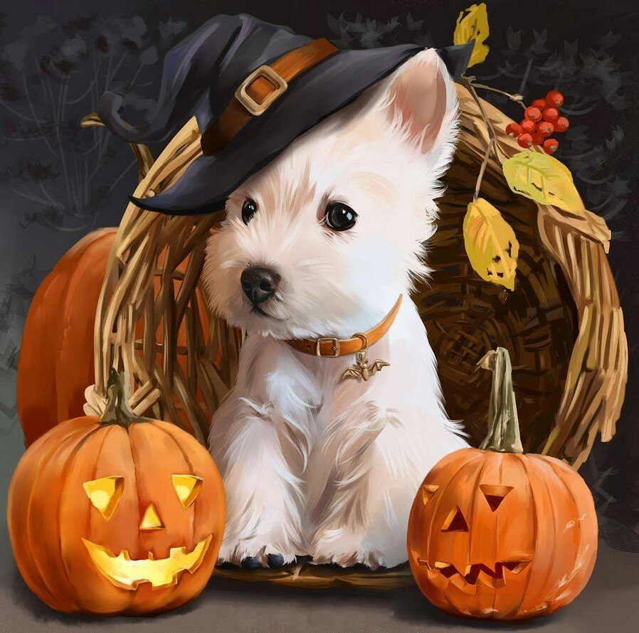 Щенок - тыква, хеллоуин, щенок, собака, рисунок, животные - оригинал