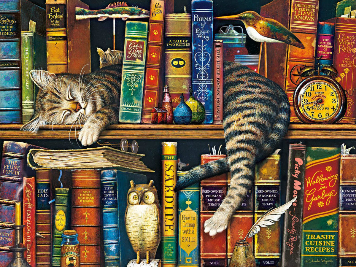 Спящий котик - рисунок, животные, котик, книги, кот - оригинал