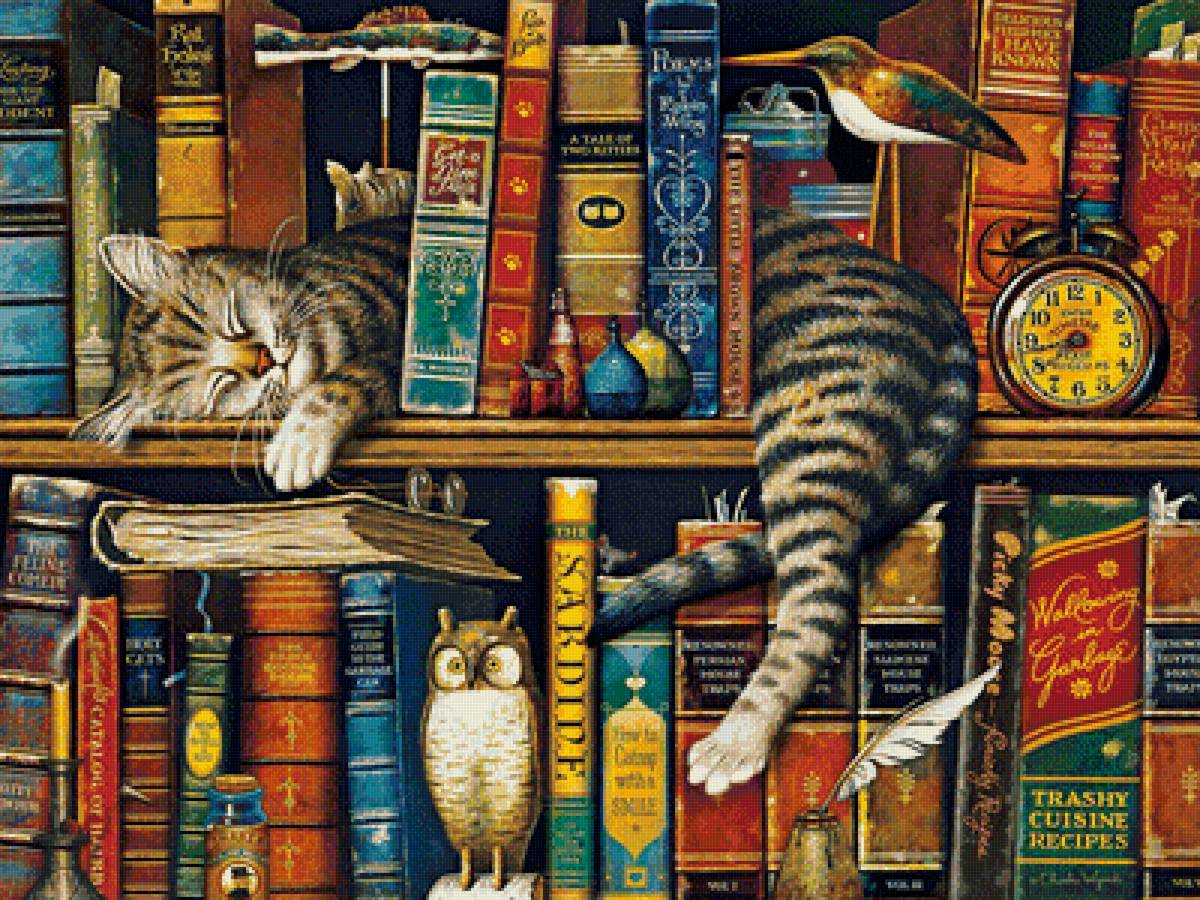 Спящий котик - котик, кот, книги, рисунок, животные - предпросмотр
