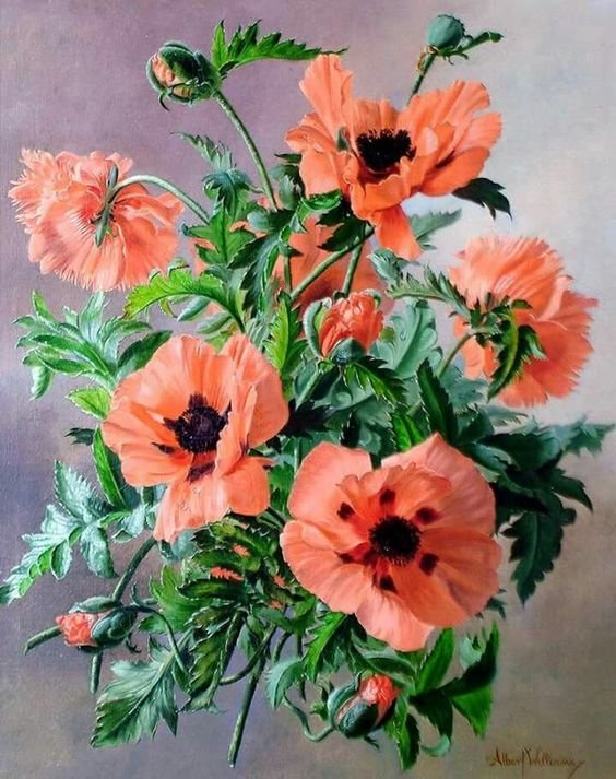 МАКИ - маки - оригинал